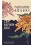 Cam Kapının Ardı - Natsume Soseki 1