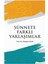 Sünnete Farklı Yaklaşımlar - Hüseyin Çelik 1