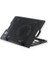 Ergostand M25 Işıklı LED Fanlı Çift USB 2.0 Notebook Soğutucu Fan 1