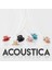 Acoustica® 2