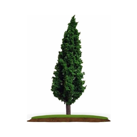Vox 4'lü Maket Ağaç 1:100 Ölçek 6 cm (VT1205B-6)