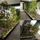Gardenonya Yapay Yapraklı Dekoratif Bambu Çubuğu 180CM 5 Adet Yapay Bambu Ağacı