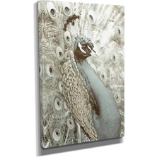 Dekoratif Tasarım3 Tavus Kuşu Canvas Tablo