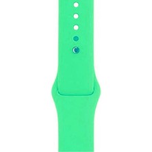 Dlrcase Apple Watch Uyumlu 40MM Kılıf Silikon Kordon Düz Renkli Yeşil