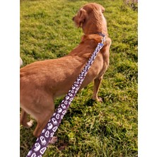 Utd Pet Boo Köpek Uzatma Tasma Sevk Kayışı 100 x 2,5 cm