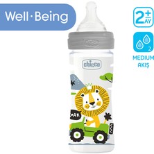 Chicco Yeni Wellbeing Renkli Biberon Pp Pembe 250 ml Orta Akış