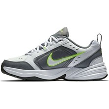 Nike Air Monarch Iv Erkek Ayakkabı 415445-100