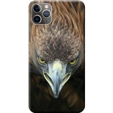 Hesaplı Dünya Apple iPhone 11 Pro Kılıf Kartal Baskılı Esnek TPU Silikon