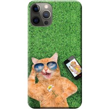Hesaplı Dünya Apple iPhone 12 Pro Max Kılıf Sevimli Sarı Kedi Baskılı Esnek TPU Silikon