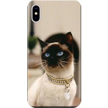 Hesaplı Dünya Apple iPhone XS Max Kılıf Kedi Resim Baskılı Esnek TPU Silikon
