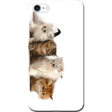 Hesaplı Dünya Apple iPhone 6 Plus Kılıf Yavru Kedicikler Baskılı Esnek TPU Silikon