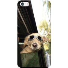 Hesaplı Dünya Apple iPhone 5/5S Kılıf Köpek Resim Baskılı Esnek TPU Silikon