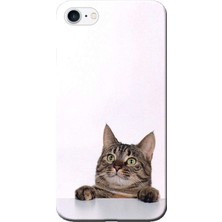 Hesaplı Dünya Apple iPhone 6 Plus Kılıf Tekir Kedi Baskılı Esnek TPU Silikon