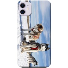 Hesaplı Dünya Apple iPhone 11 Kılıf Kızak Husky Eskimo Köpek Baskılı Esnek TPU Silikon