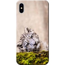 Hesaplı Dünya Apple iPhone X Kılıf Yavru Leopar Baskılı Esnek TPU Silikon