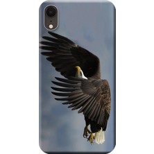 Hesaplı Dünya Apple iPhone XR Kılıf Kartal Baskılı Esnek TPU Silikon