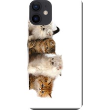 Hesaplı Dünya Apple iPhone 12 Mini Kılıf Yavru Kedicikler Baskılı Esnek TPU Silikon