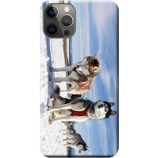 Hesaplı Dünya Apple iPhone 12 Pro Max Kılıf Kızak Husky Eskimo Köpek Baskılı Esnek TPU Silikon