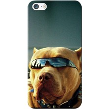 Hesaplı Dünya Apple iPhone 5/5S Kılıf Gözlüklü Pitbull Baskılı Esnek TPU Silikon