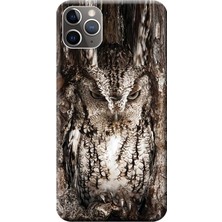 Hesaplı Dünya Apple iPhone 11 Pro Kılıf Baykuş Baskılı Esnek TPU Silikon