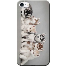 Hesaplı Dünya Apple iPhone 8 Kılıf Husky Eskimo Köpekler Baskılı Esnek TPU Silikon