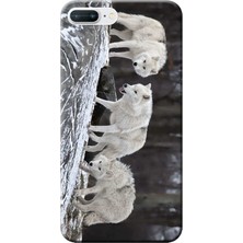 Hesaplı Dünya Apple iPhone 8 Plus Kılıf Beyaz Kurtlar Baskılı Esnek TPU Silikon