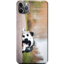 Hesaplı Dünya Apple iPhone 11 Pro Kılıf Sevimli Miskin Köpek Baskılı Esnek TPU Silikon