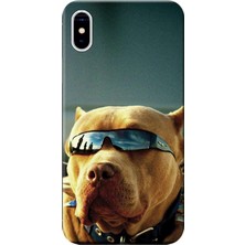 Hesaplı Dünya Apple iPhone X Kılıf Gözlüklü Pitbull Baskılı Esnek TPU Silikon