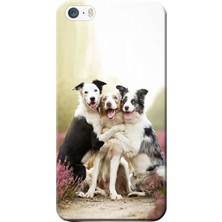 Hesaplı Dünya iPhone 5/5s Kılıf Sevimli Köpekler Sarılma Baskılı Esnek Tpu SILIKON2224