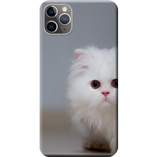 Hesaplı Dünya Apple iPhone 11 Pro Max Kılıf Beyaz Kedi Baskılı Esnek TPU Silikon