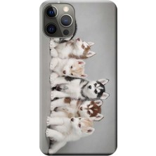 Hesaplı Dünya Apple iPhone 12 Pro Kılıf Husky Eskimo Köpekler Baskılı Esnek TPU Silikon