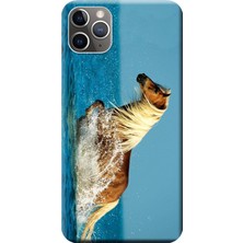 Hesaplı Dünya iPhone 11 Pro Max Kılıf Su Koşan Yeleli At Baskılı Esnek Tpu SILIKON559