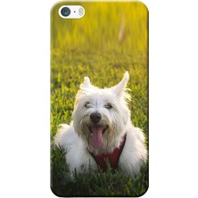 Hesaplı Dünya Apple iPhone 5/5S Kılıf Beyaz Teriyer Baskılı Esnek TPU Silikon
