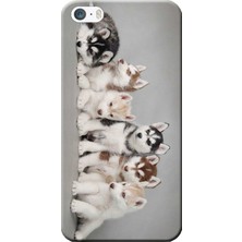 Hesaplı Dünya Apple iPhone 5/5S Kılıf Husky Eskimo Köpekler Baskılı Esnek TPU Silikon