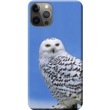 Hesaplı Dünya Apple iPhone 12 Pro Max Kılıf Beyaz Baykuş Baskılı Esnek TPU Silikon