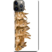 Hesaplı Dünya Apple iPhone 12 Pro Max Kılıf Tavşanlar Baskılı Esnek TPU Silikon