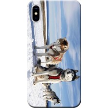 Hesaplı Dünya Apple iPhone X Kılıf Kızak Husky Eskimo Köpek Baskılı Esnek TPU Silikon