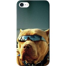 Hesaplı Dünya Apple iPhone 6 Plus Kılıf Gözlüklü Pitbull Baskılı Esnek TPU Silikon