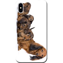 Hesaplı Dünya Apple iPhone XS Kılıf Yavru Köpekler Baskılı Esnek TPU Silikon