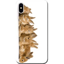 Hesaplı Dünya Apple iPhone X Kılıf Tavşanlar Baskılı Esnek TPU Silikon