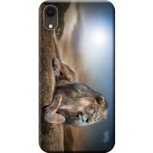 Hesaplı Dünya Apple iPhone XR Kılıf Aslan Kral Baskılı Esnek TPU Silikon