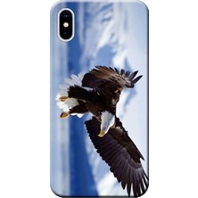 Hesaplı Dünya Apple iPhone XS Kılıf Kartal Baskılı Esnek TPU Silikon