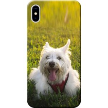 Hesaplı Dünya Apple iPhone XS Kılıf Beyaz Teriyer Baskılı Esnek TPU Silikon