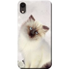 Hesaplı Dünya Apple iPhone XR Kılıf Kedi Baskılı Esnek TPU Silikon