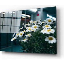 Aras Glass Art Papatya Cam Tablo