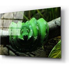 Aras Glass Art Yılan 2 Cam Tablo
