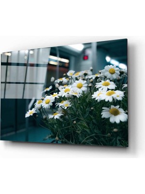 Aras Glass Art Papatya Cam Tablo