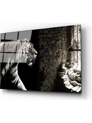 Aras Glass Art Kafeste Kaplan Cam Tablo