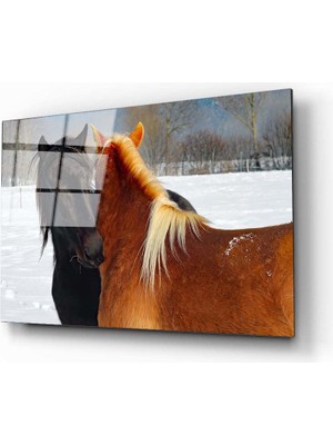 Aras Glass Art At 3 Cam Tablo