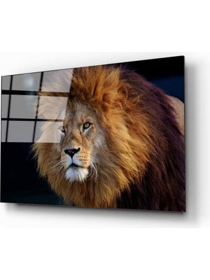 Aras Glass Art Aslan 8 Cam Tablo